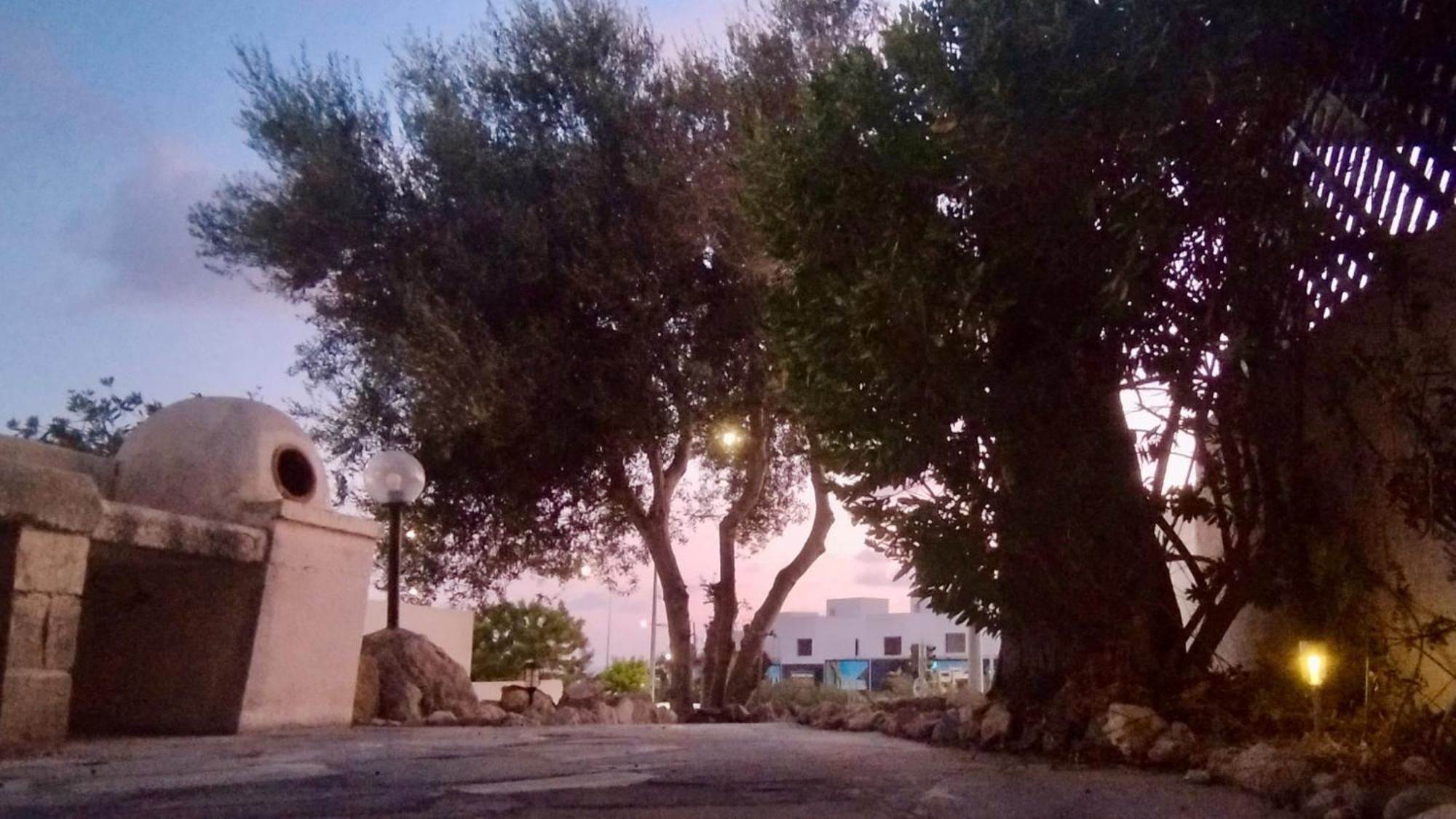 House In Tomb Of The Kings * Paphos